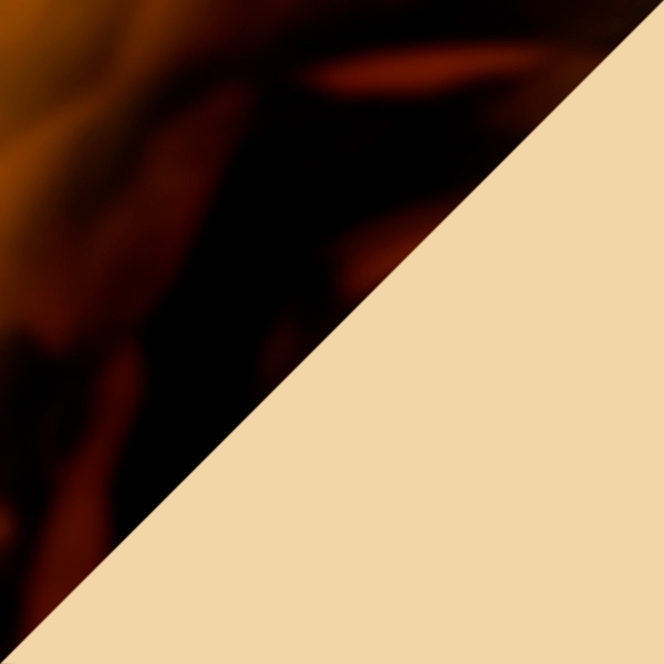 Pale Gold/Brown Tortoise