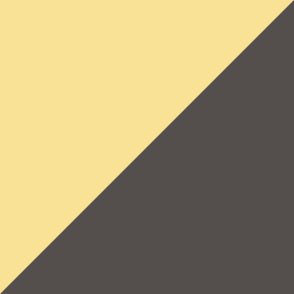 Arista / Photochromic Gray