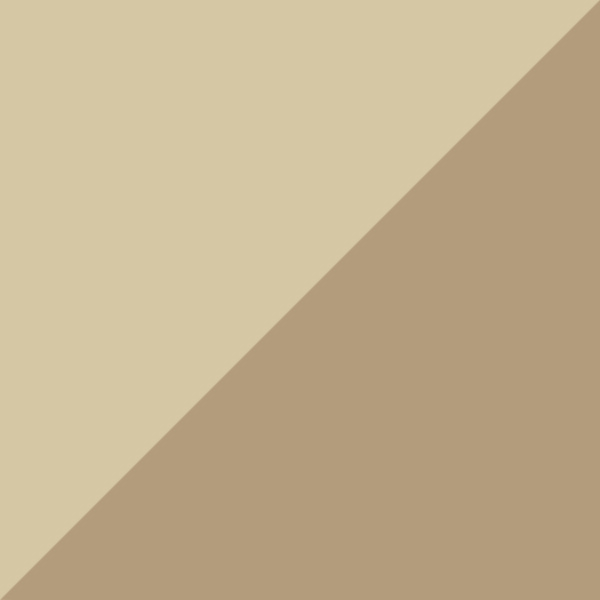 Pale Gold / Clear Mirrored Real Yellow Gold