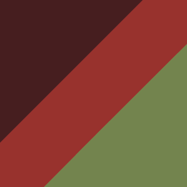 Grant Tortoise / G15 Polarized