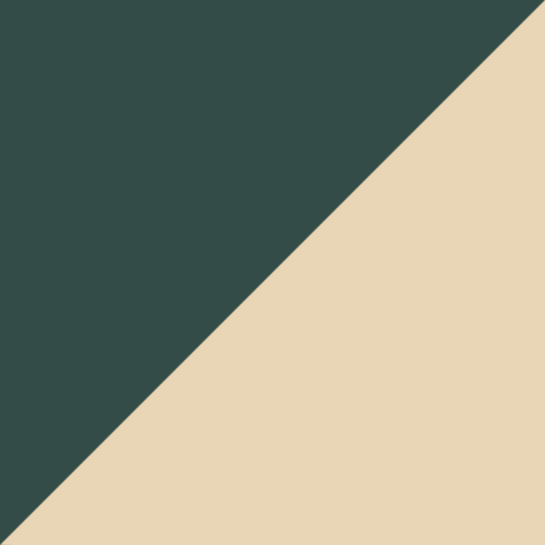 Green on Arista / Dark Green Mirrored Polarized