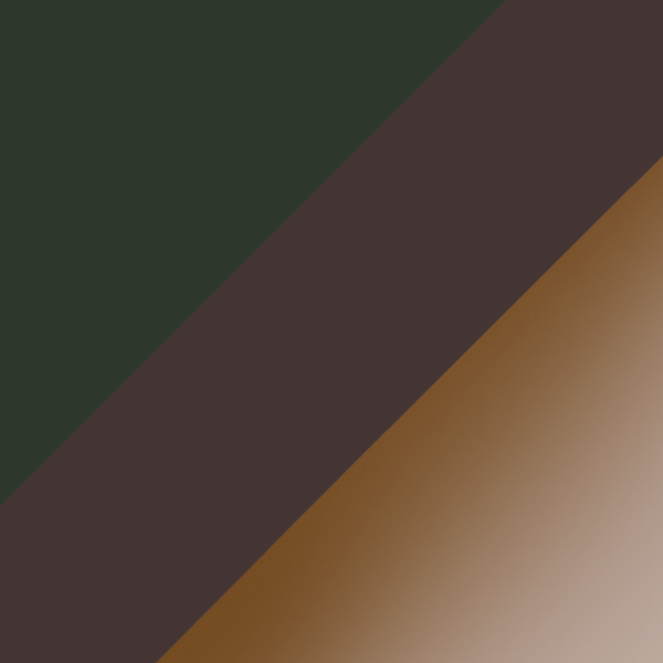 Transparent Olive Green/Top Crystal/Gray Havana / Dark Brown Polarized