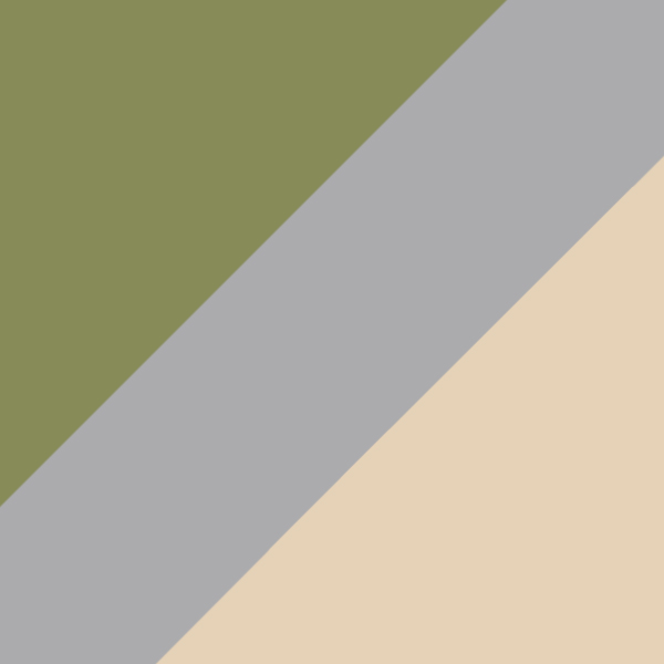 Shiny Green / Light Gray Mirrored Silver