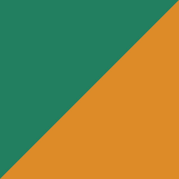 Green Solid/Shiny Yellow Gold / Green Solid