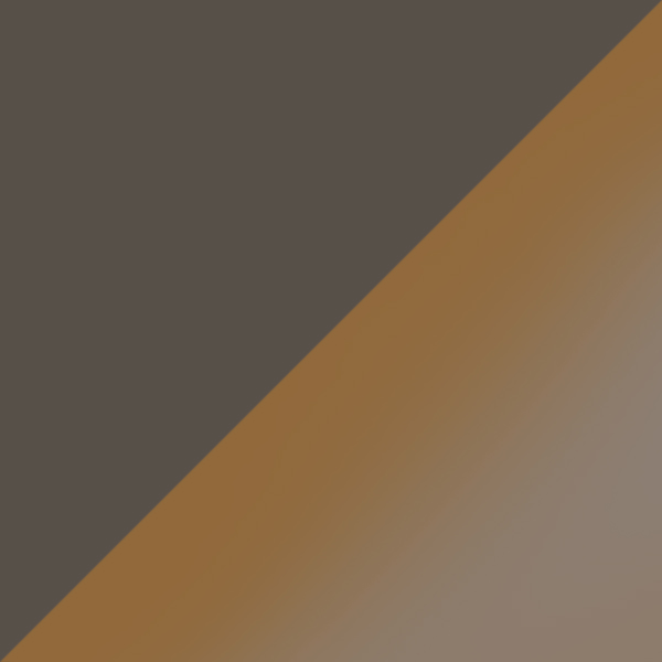 Matte Gunmetal / Gray Gradient Brown Polarized