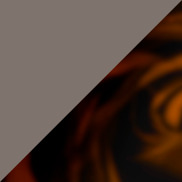 Gunmetal/Havana / Polarized Light Blue