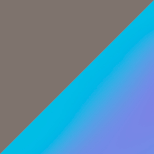 Matte Gunmetal / Prizm Sapphr Iridium Polarized