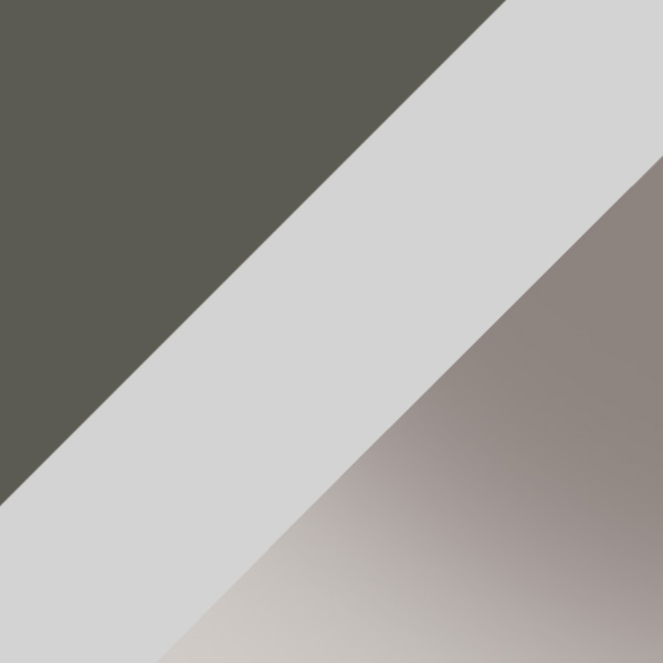 Gunmetal / Silver/Gray Polarized Mirrored