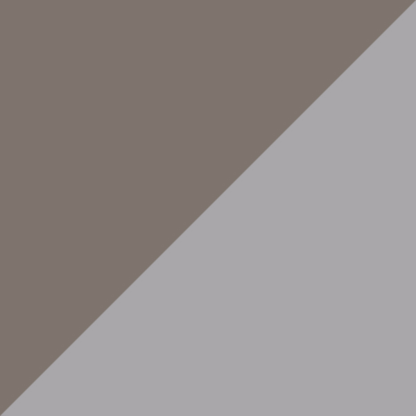 Shiny Gunmetal / Silver Mirrored