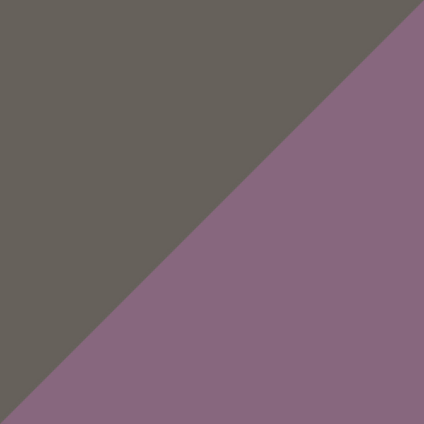 Gunmetal / Violet