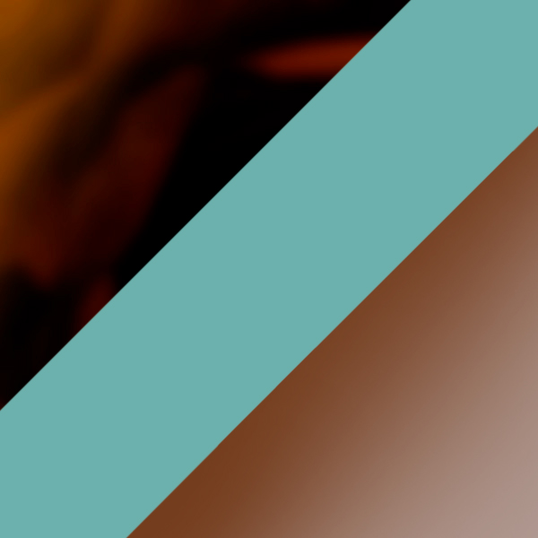 Shiny Havana on Aquamarine / Gradient Brown