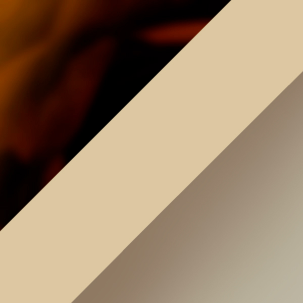 Havana Beige / Dark Brown