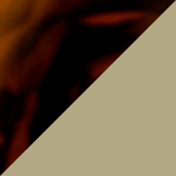 Crystal on Havana Madreperla / Dark Gray