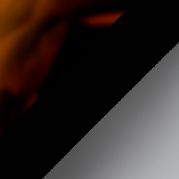 Dark Havana/Black / Gray Gradient Dark Gray Polarized