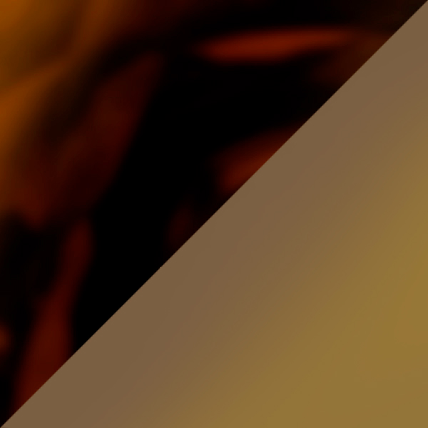 Top Dark Havana/Light Brown/Pale Gold / Gradient Brown