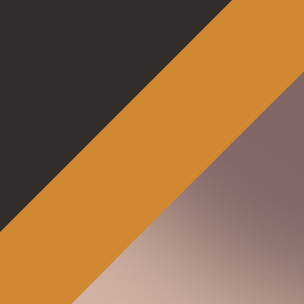 Havana On Transparent Brown / Dark Gray