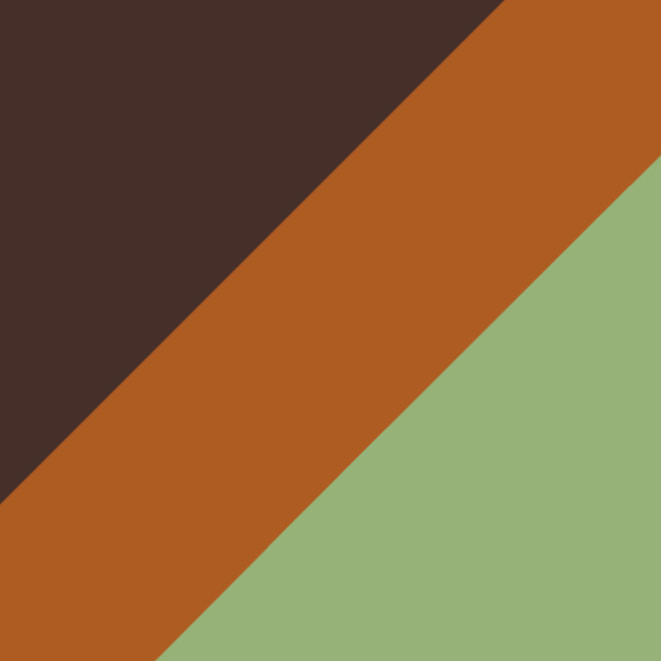 Dark Havana and Check Brown / Green