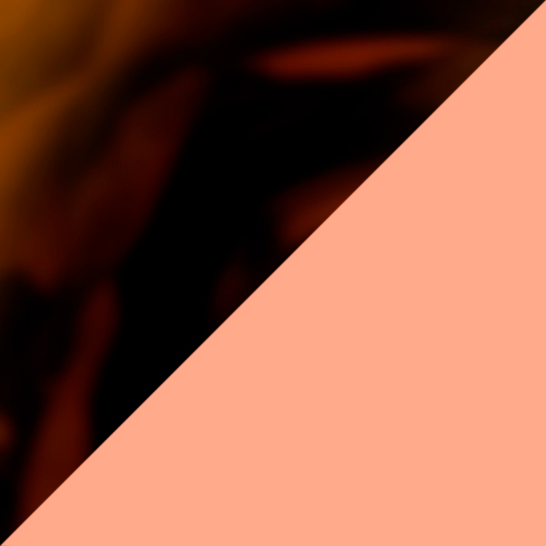 Copper/Havana Brown / Polarized Brown