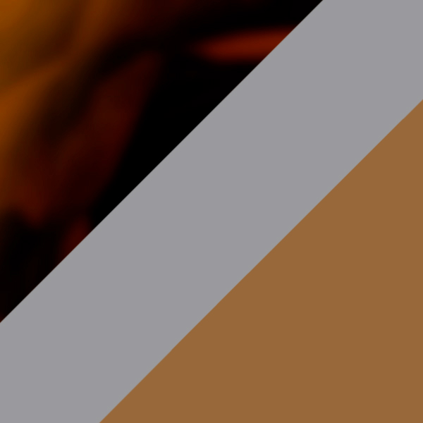 Havana Gray and Brown / Brown