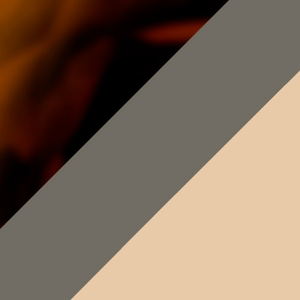 Havana / Dark Gray Mirrored Gold