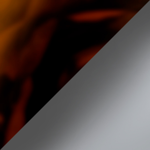 Havana Honey / Gradient Dark Gray Polarized