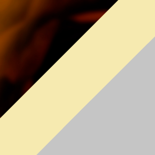 Classic Havana Tortoise