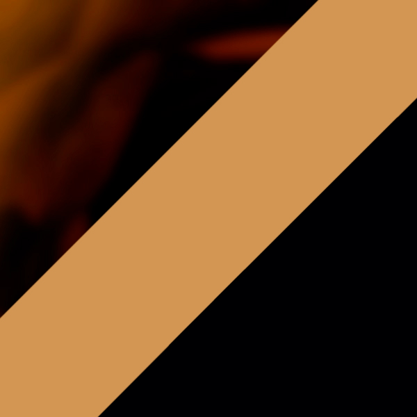 Shiny Havana Yellow/Shiny Black