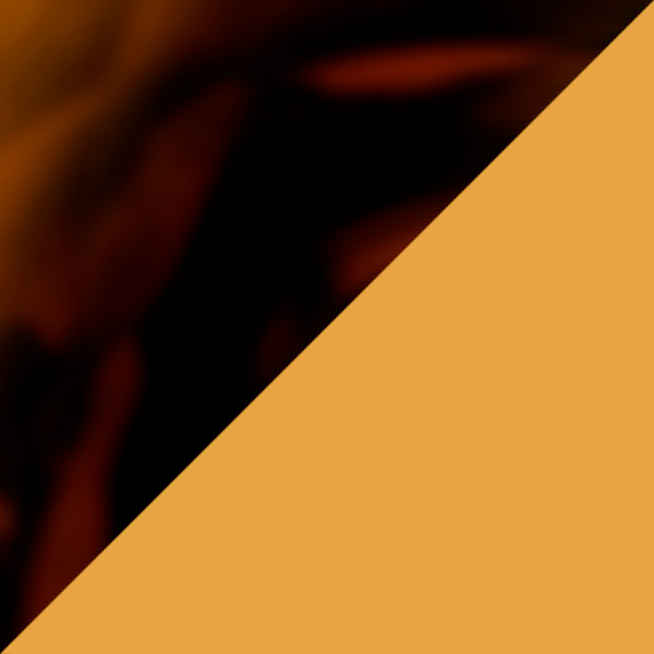 Havana Yellow Turtle / Gradient Brown