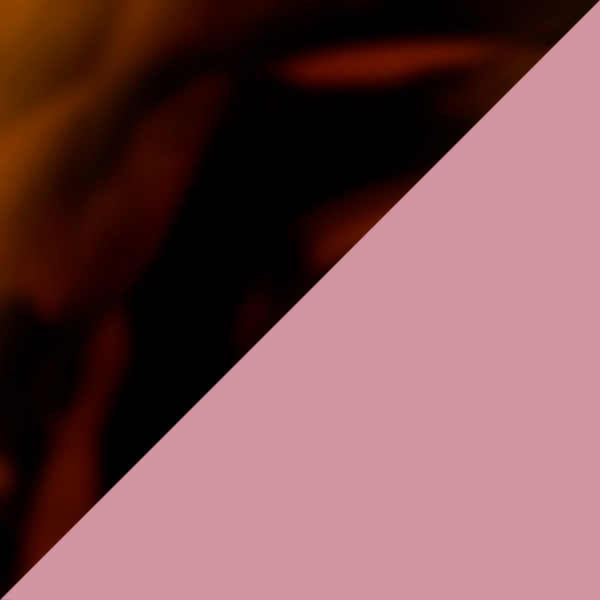 Honey Havana / Bordeaux Mirrored