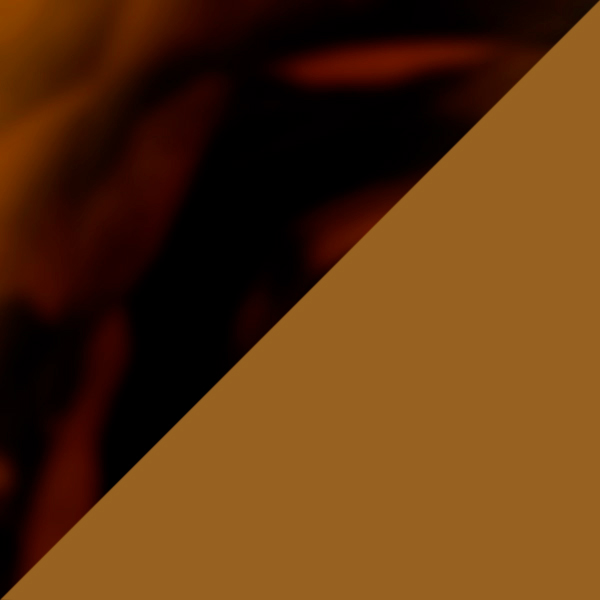 Shiny Jerry Havana / Brown