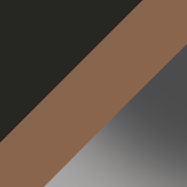 Leo Brown/Black / Dark Gray