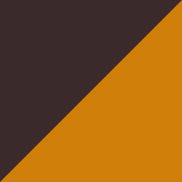 Loden/Black and Tortoise