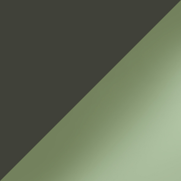 Transparent Military Green / Dark Gray