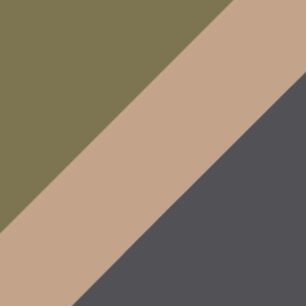 Multicam / Gray
