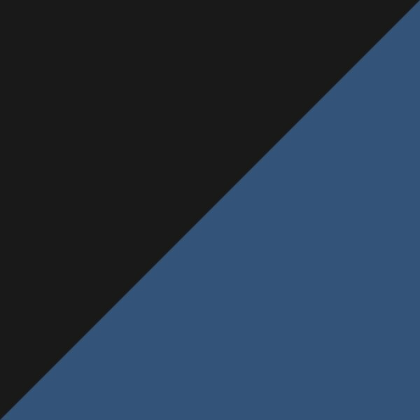 Shiny Black / Dark Blue