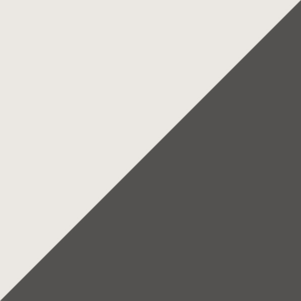 Optic White / Dark Gray Solid
