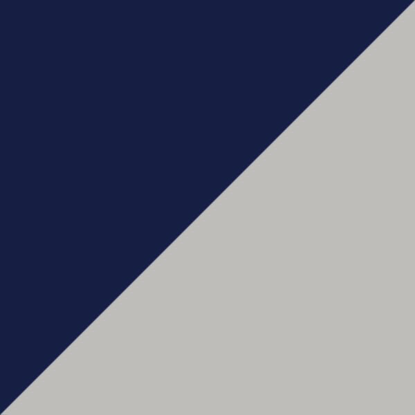 Matte Purple On Silver