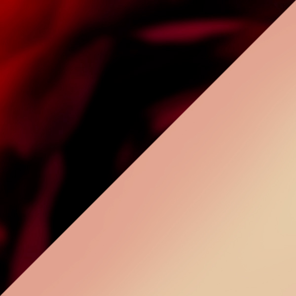 Red Havana / Copper Flash Gradient