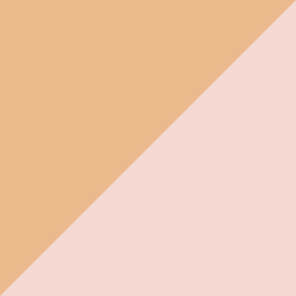 Rose Gold / Rose Gold Mirrored