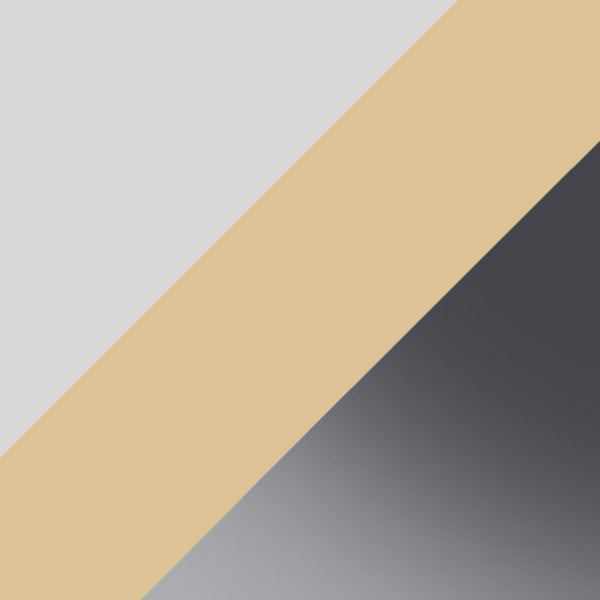 Silver/Pale Gold / Dark Gray