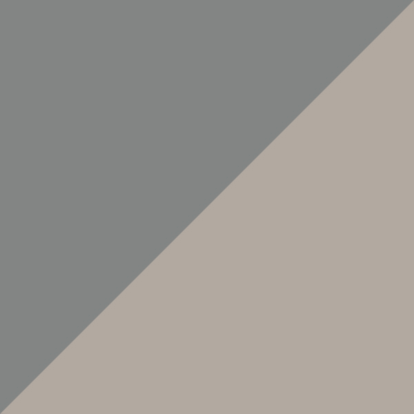 Matte Silver / Gunmetal Mirrored