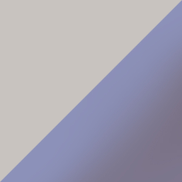 Satin Silver/Navy 9437