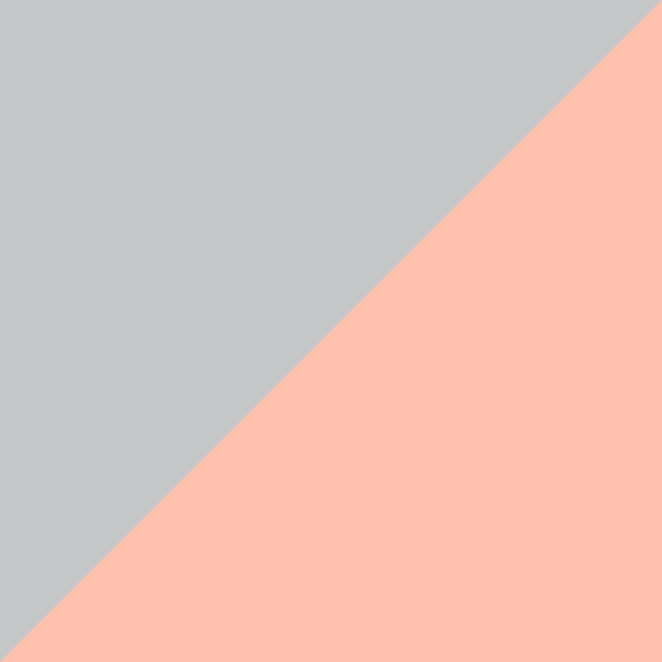 Silver/Rose Gold 1015