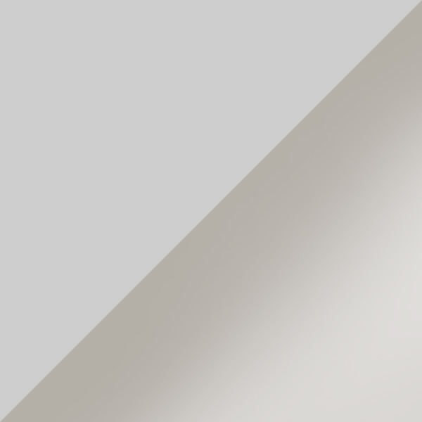 Silver / Silver Mirrored