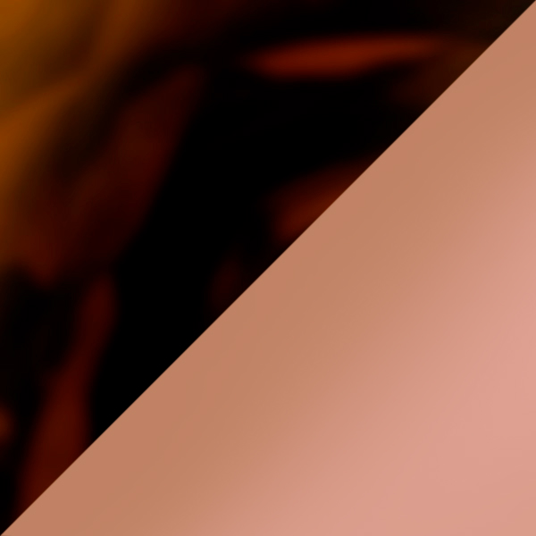 Yellow Havana/Shiny Gold / Polarized Gradient Brown