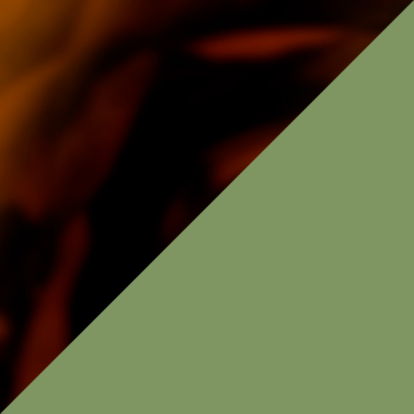 Shiny Spotty Havana / Green