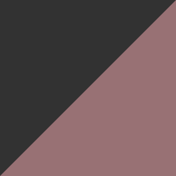 Steel / Prizm Daily Polarized