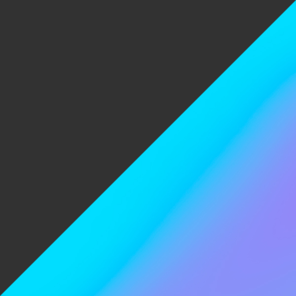 Steel / Prizm Sapphr Iridium Polarized