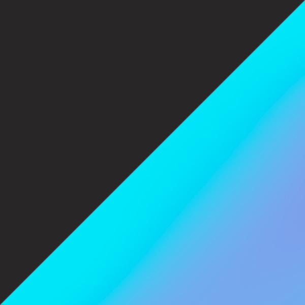 Steel / Prizm Sapphire