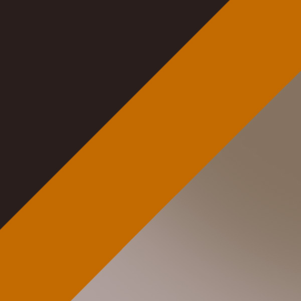 Dark Tortoise / Smoke Gradient